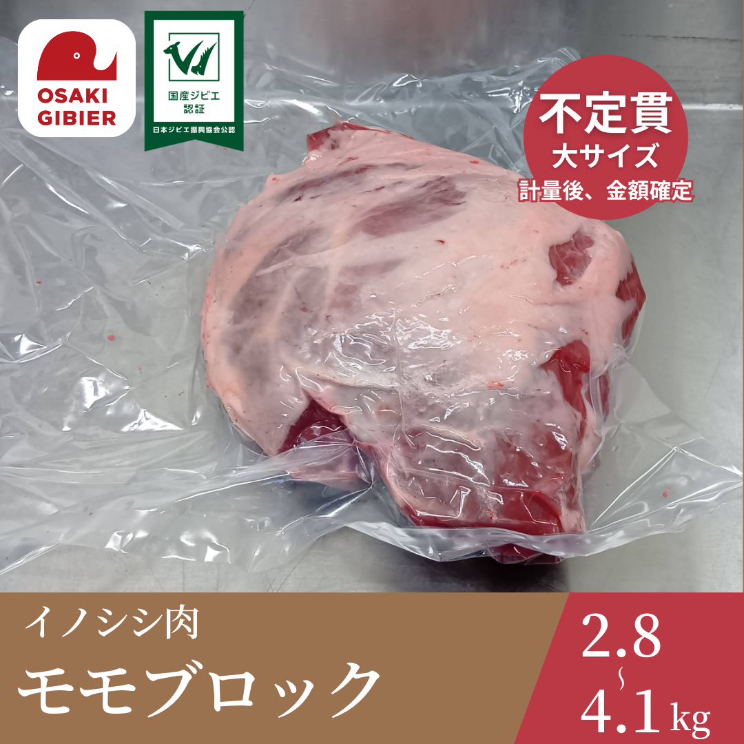 大崎ジビエ イノシシ肉 モモ肉 ブロック 大